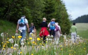 wandern donauries krone oettingen