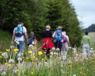 wandern donauries krone oettingen